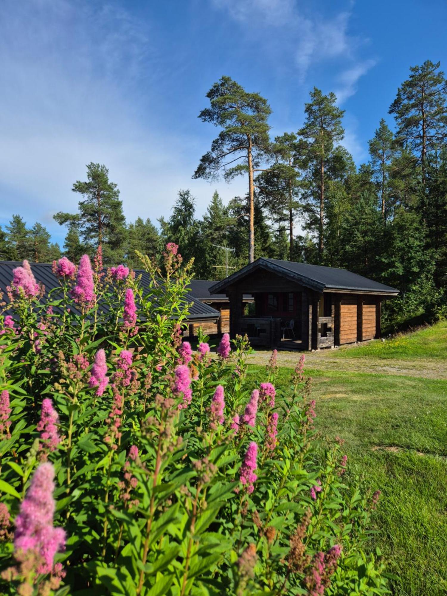 Lufta Camping & Restaurang Ånäset Eksteriør billede